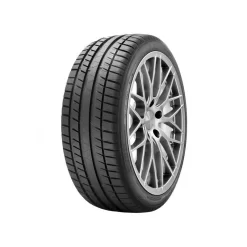 RIKEN RIKEN SNOW 205/55R16 91T