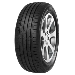 MINERVA F209 205/55R16 94V XL