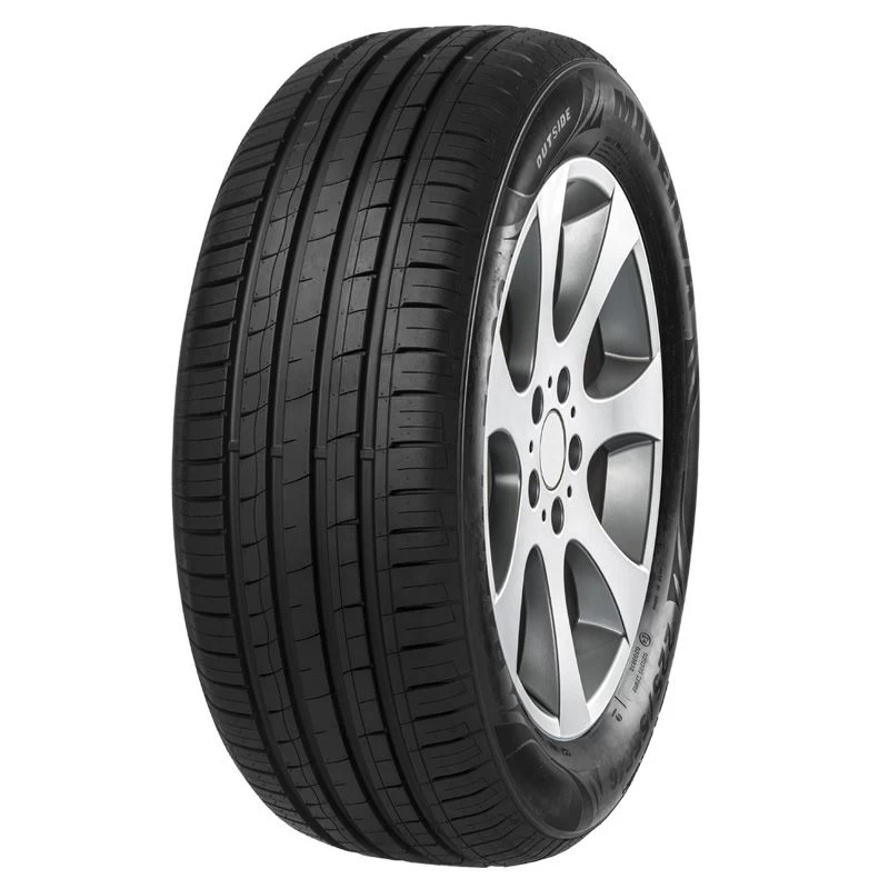 MINERVA F209 205/55R16 94V XL